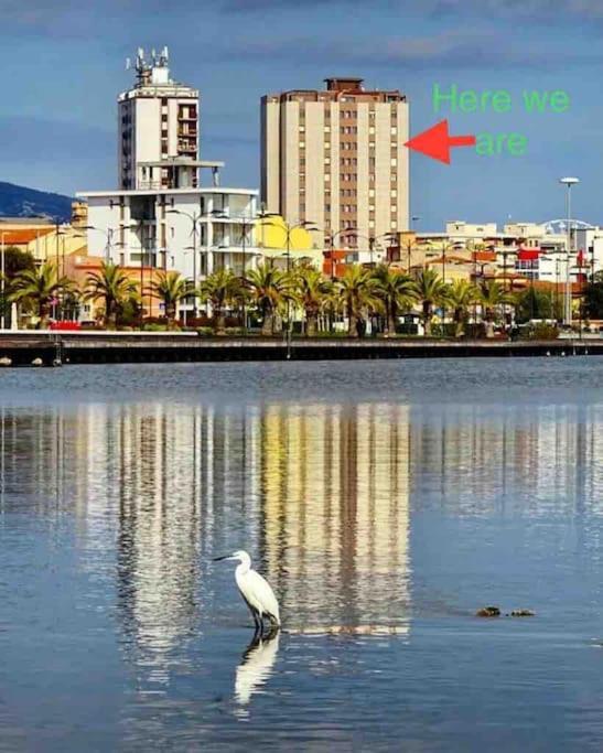 Mv * Olbia